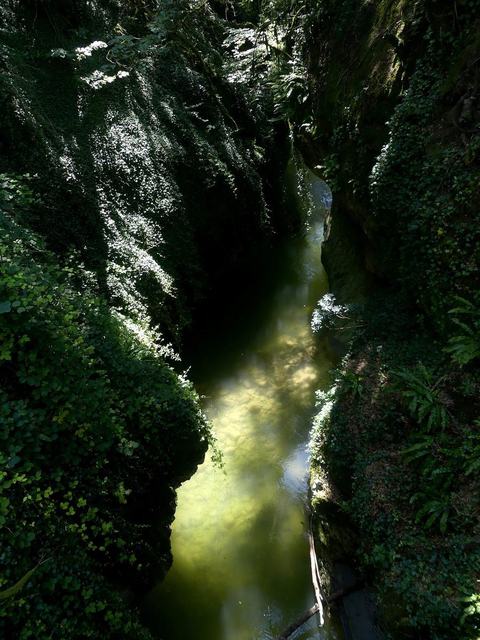 Gorges et cascade du Sierroz