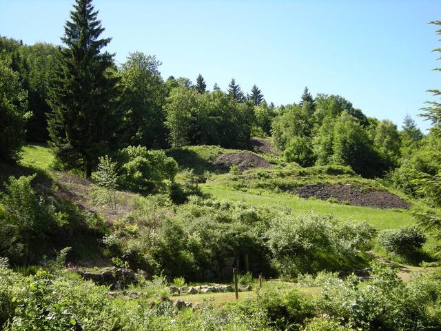 Hautes-Mynes du Thillot