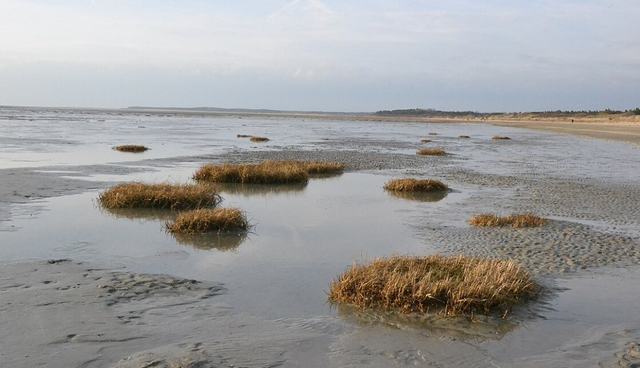 La Baie de Somme