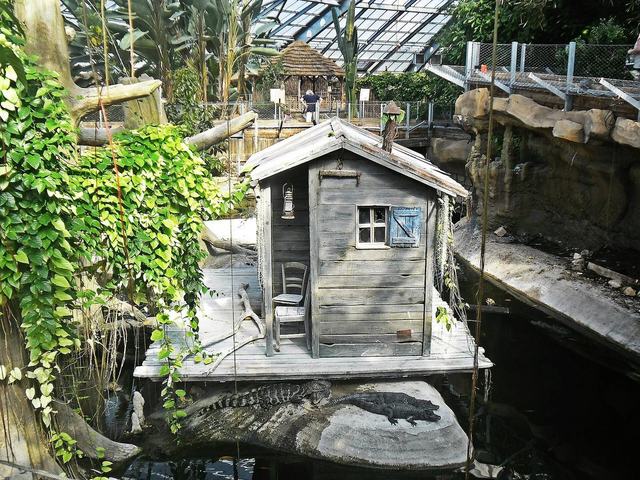 La Planète des Crocodiles