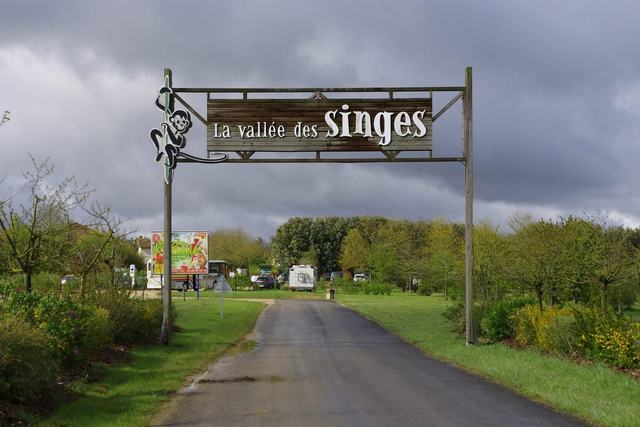 la Vallèe des Singes - Romagne