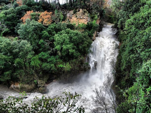 Le Saut du Capelan (Nartuby)
