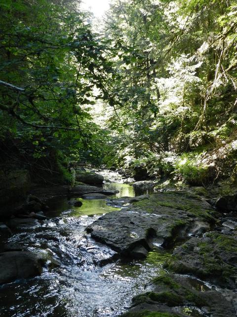 Les Cascades de l'Alagnon