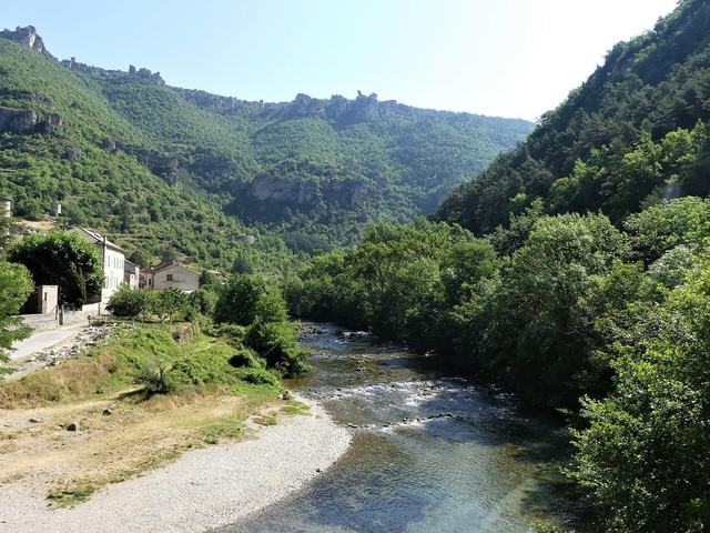 Les gorges de la Dourbie