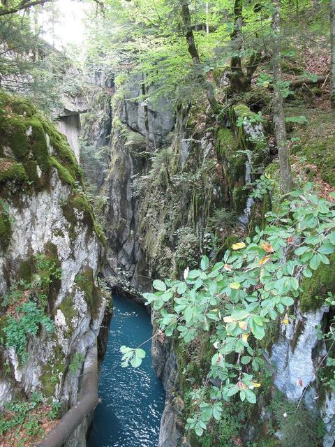 Les Gorges de Tines