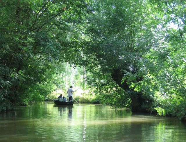Les Oiseaux du Marais Poitevin