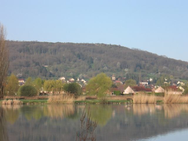Ludolac