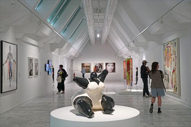 Musée d'Art Contemporain - MAC