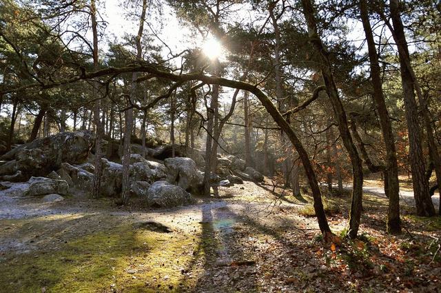 Parc naturel régional du Gâtinais