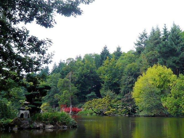 Parc oriental de Maulévrier