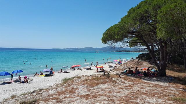 Plage de Palombaggia à Porto-Vecchio