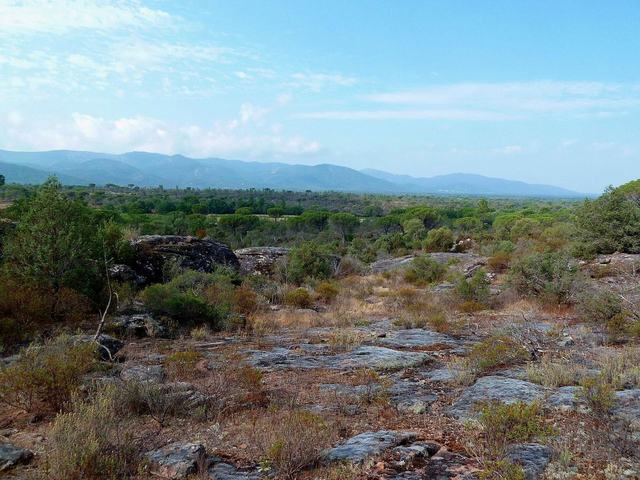 Plaine des Maures
