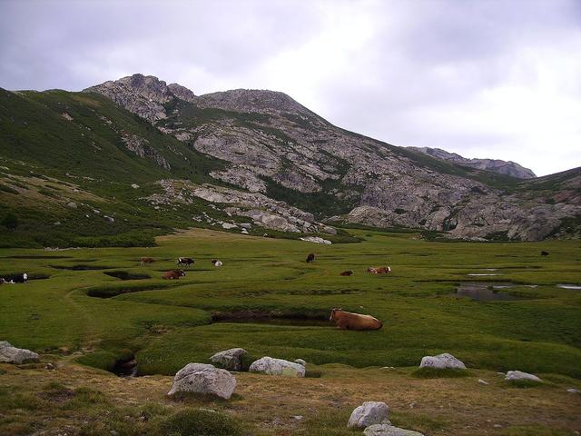 Pozzi de Marmano