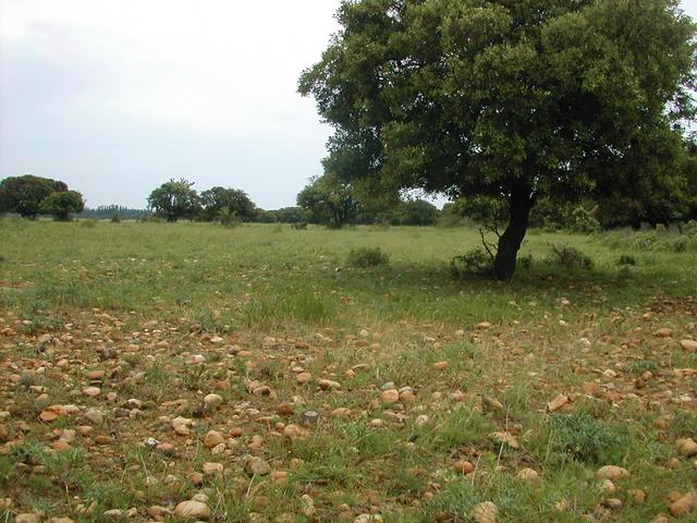 Réserve Naturelle Coussouls de Crau