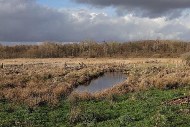 tourbières de Vred