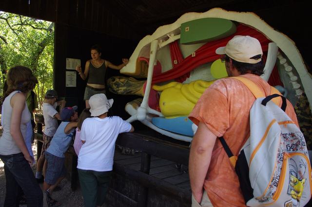 Village des Tortues