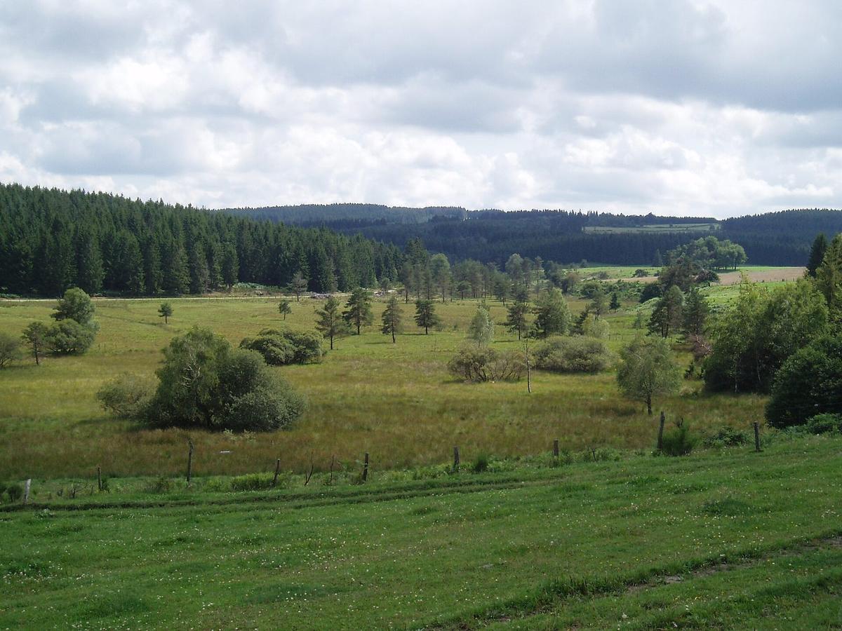 Tourbières de Longéroux