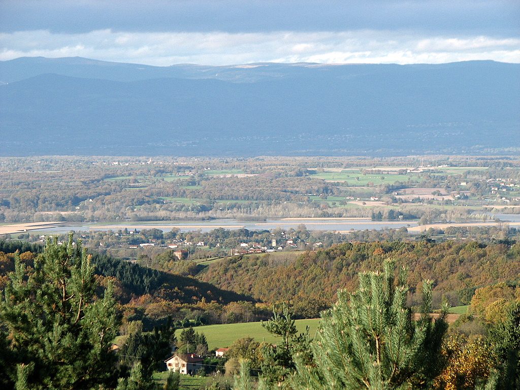 Volerie du Forez
