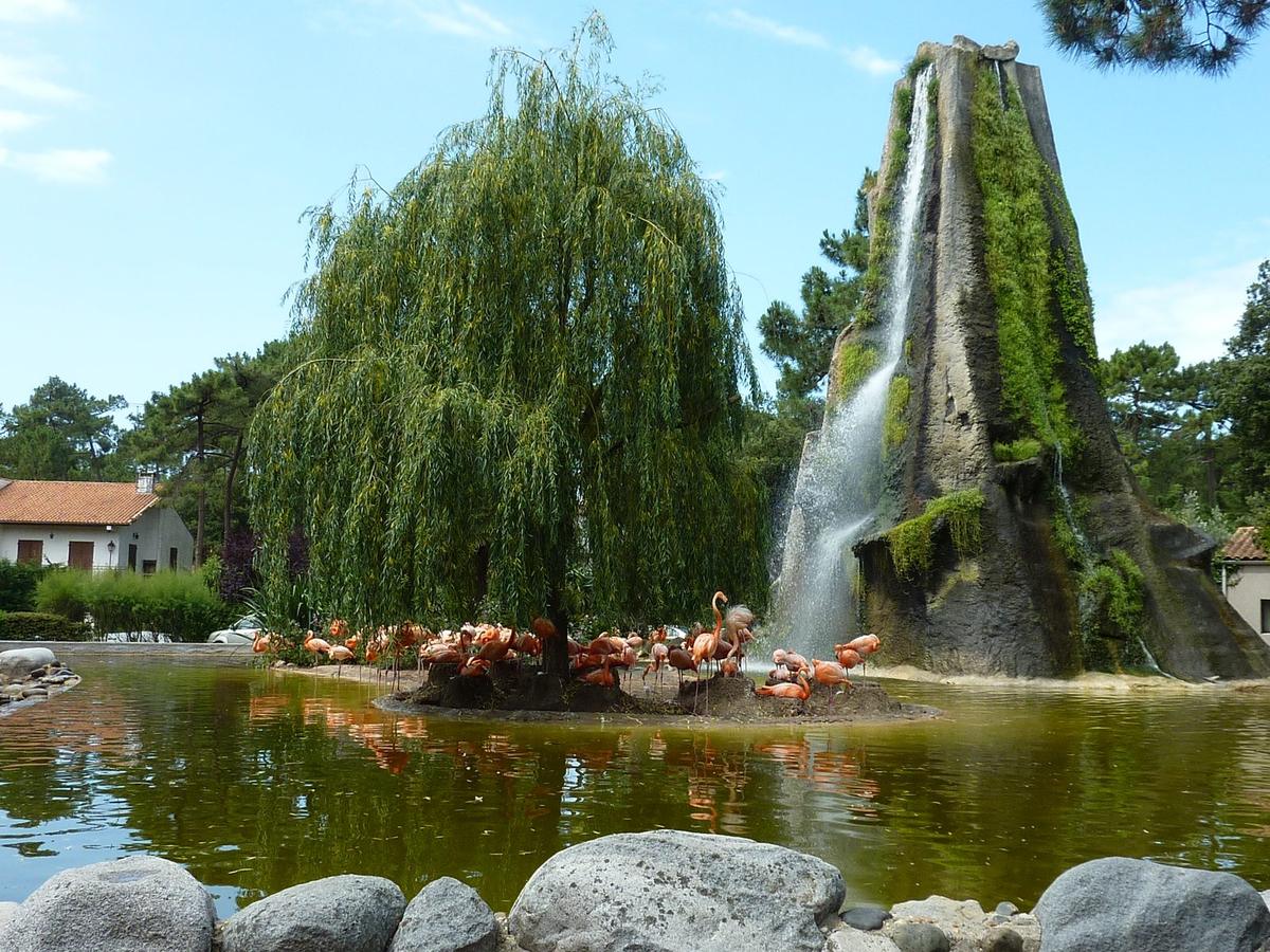 Zoo de La Palmyre