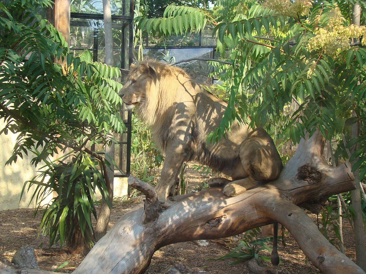 Zooparc du Cap Ferrat