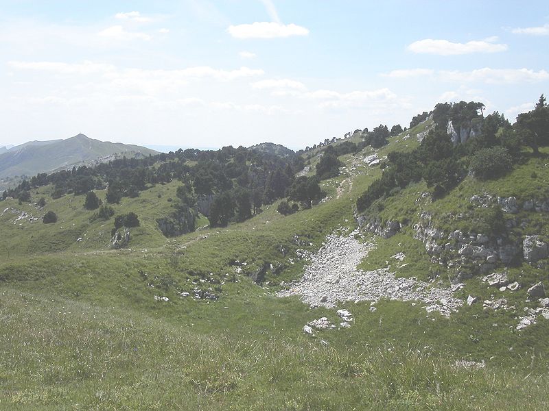 Parc naturel régional du Haut Jura by  Marc Mongenet CC-BY-SA-3.0 via Wikimedia Commons
