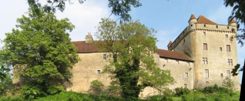 Château Fort du Pin By Arnaud 25 CC BY-SA 3.0 via Wikimedia Commons