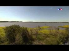 Le Marais d'Orx en vidéo