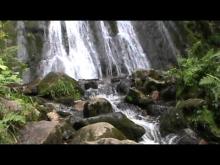 Vidéo de la Cascade de la Pissoire (Haut du Tôt - Vosges)
