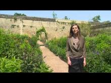 Château de Canon et ses jardins en vidéo