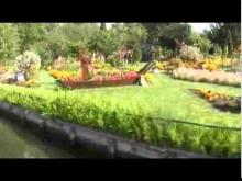 Les Hortillonnages d'Amiens en Vidéo