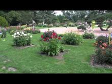 Vidéo du parc floral d'Orléans