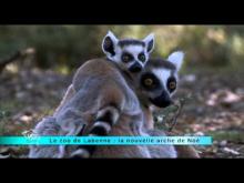 Parc Animalier de Labenne Océan en vidéo