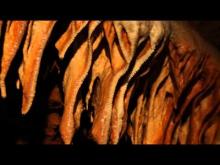 Vidéo de la Grotte du Bosc
