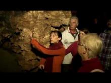 Vidéo de la Grotte de Pech Merle