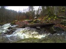 Vidéo Cascade de Brisecou