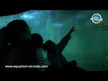 Grand aquarium Saint-Malo en Vidéo